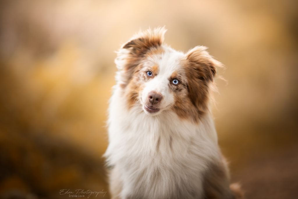 moonbaby's Miracle of love quiny