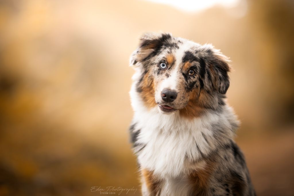 Rebel dit sweet du Domaine de Milk