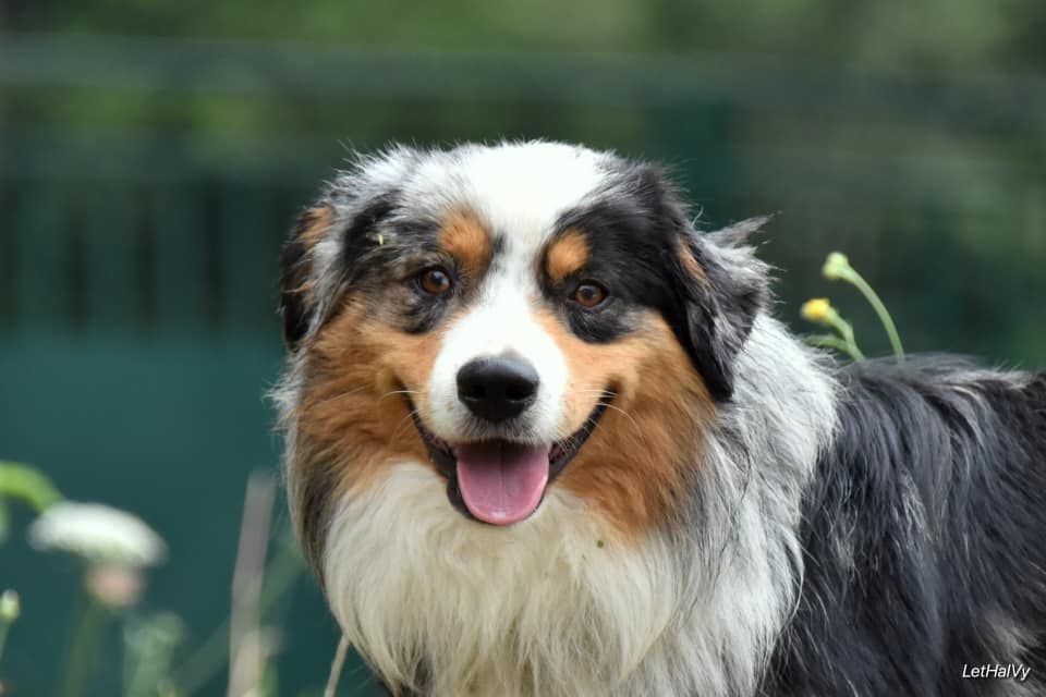 E'teddy des soldats de krist ale