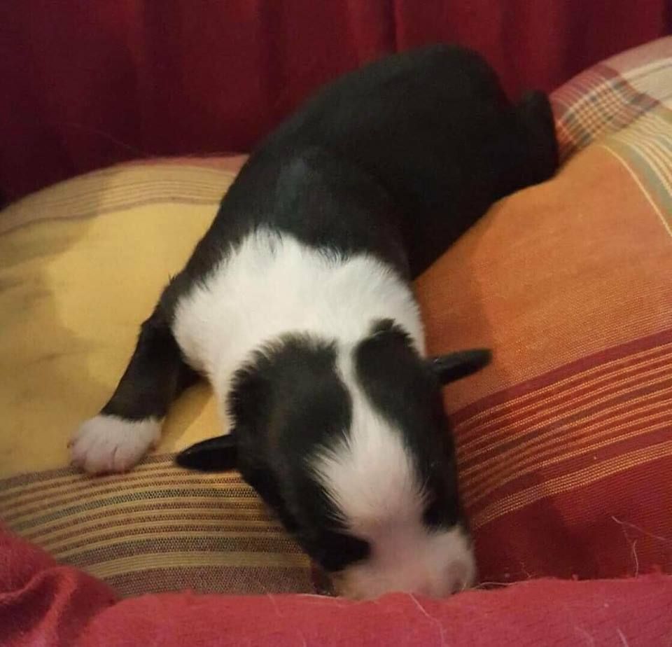 One More Night dit Oslo